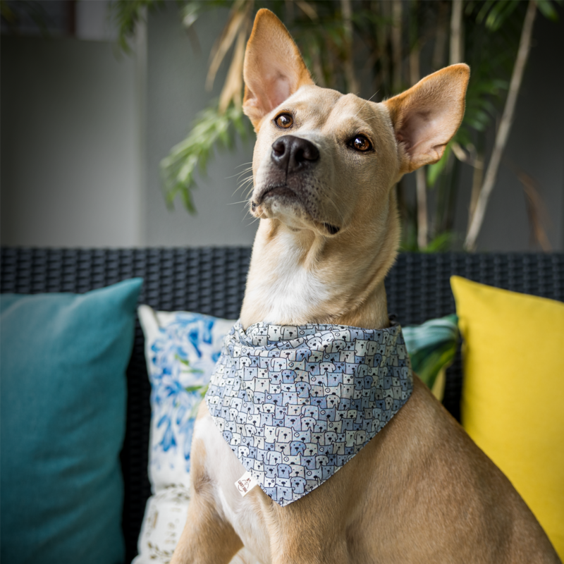 Dog bandana "SQUARE FRIENDS FUN"