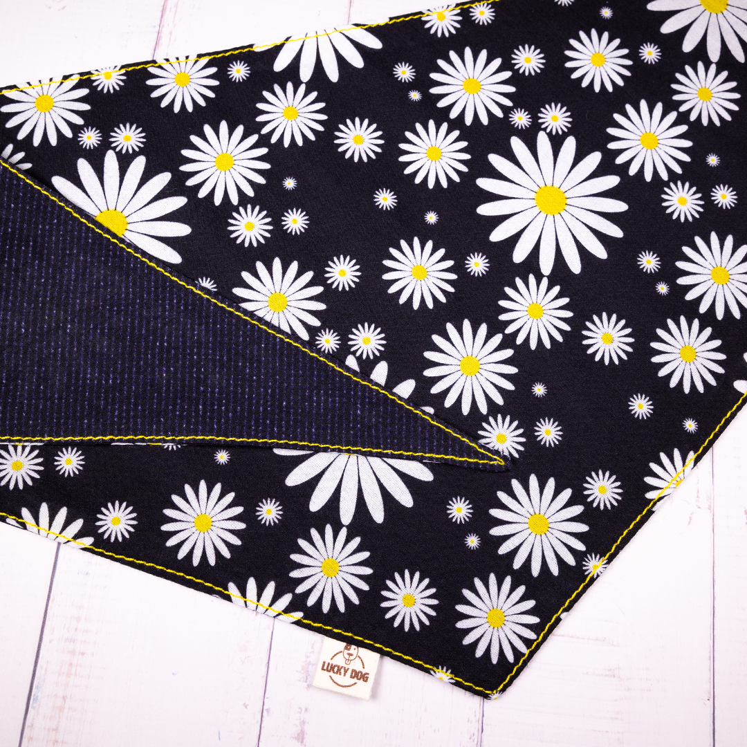 Dog bandana &quot;OH HAPPY DAISY DAY&quot;