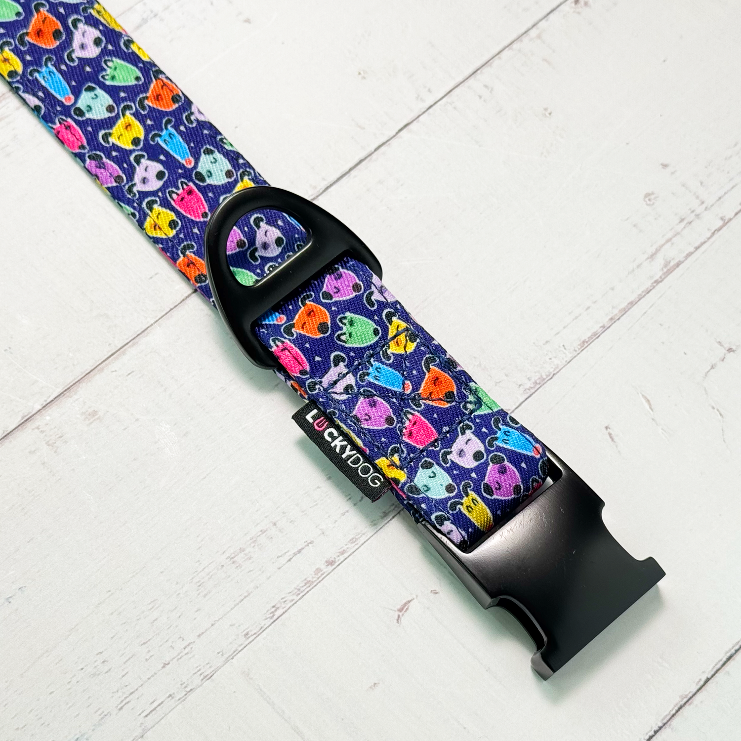 DOG COLLAR &quot;Artsy Doggies&quot;