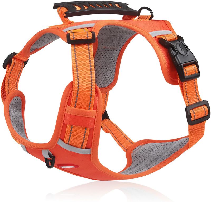 Dog Harness