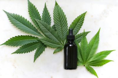 Hemp-based Products