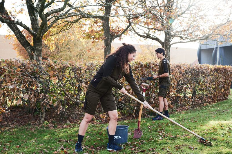 Engel Workwear Shop ARBEITSSHORTS Damen