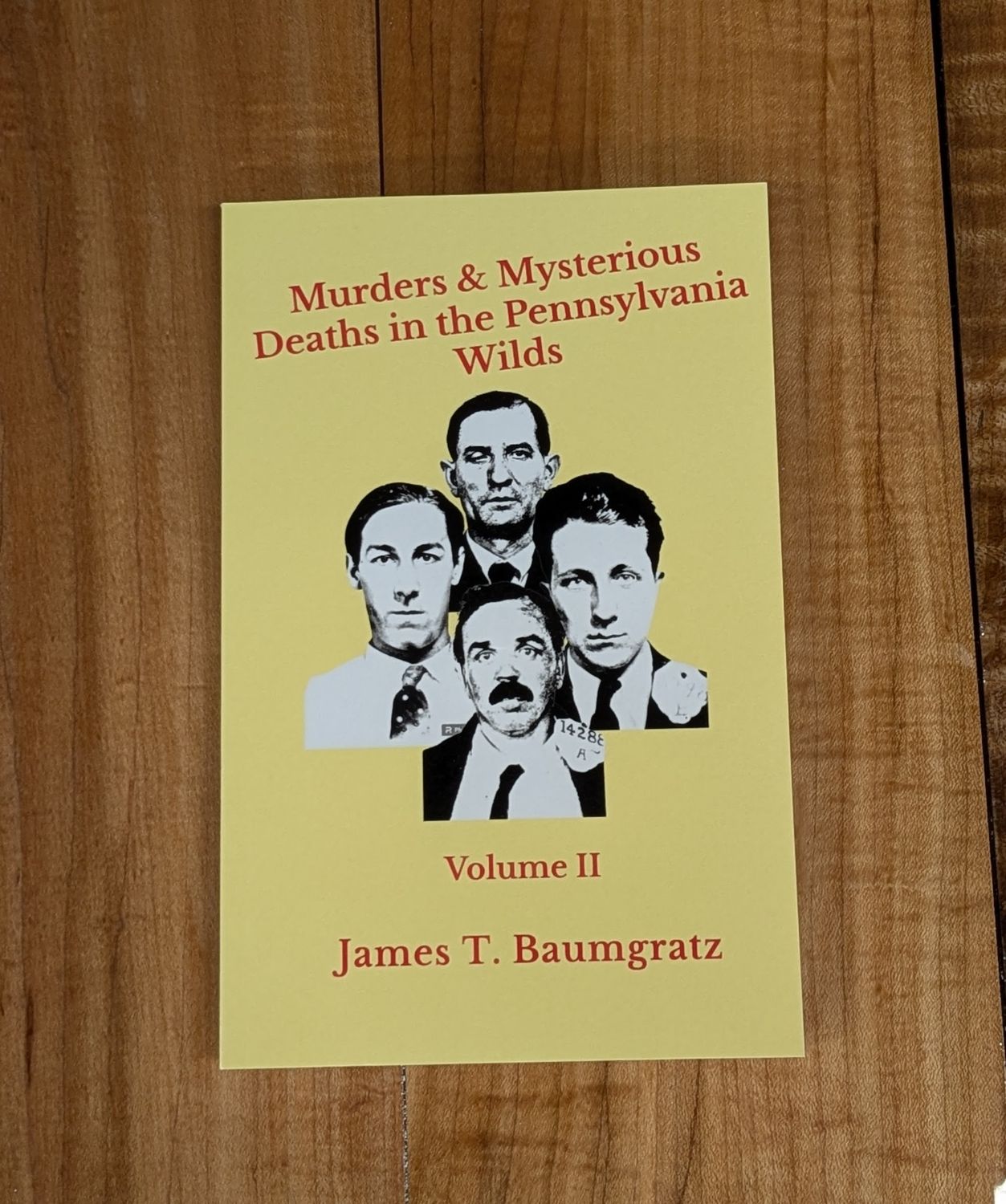 Murders &amp; Mysterious Deaths in PA Wilds Volume 2