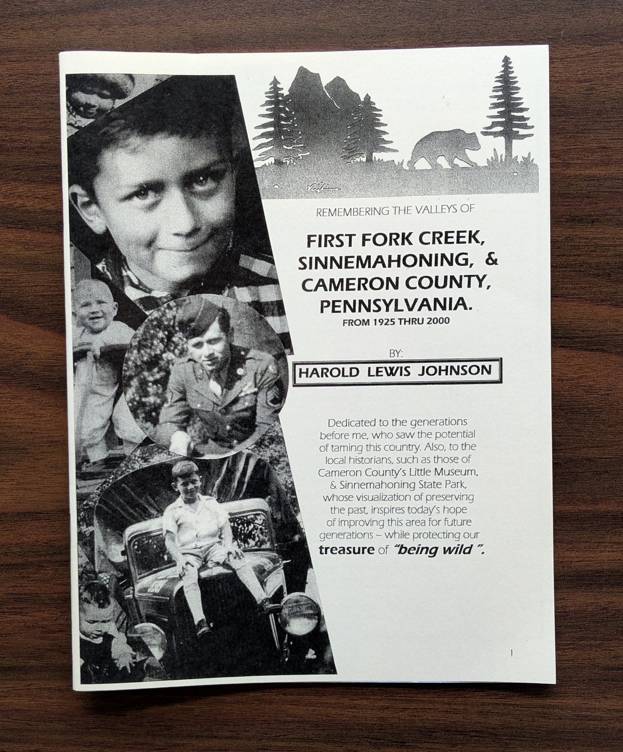 First Fork Creek Sinnemahoning Cameron County PA