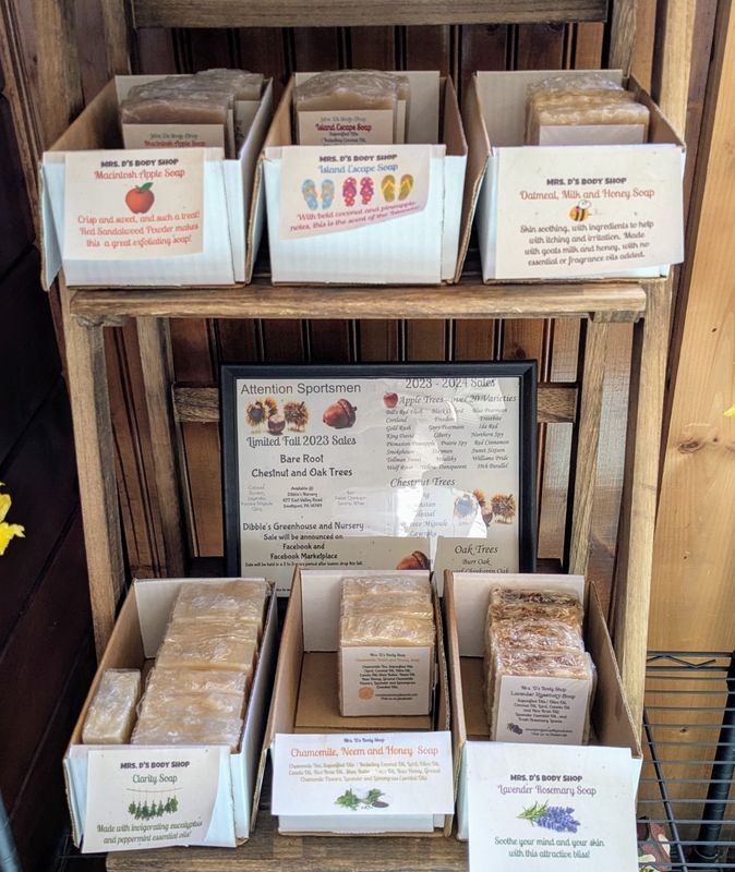 Body Shop Soap Bars