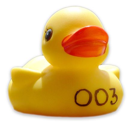ducks