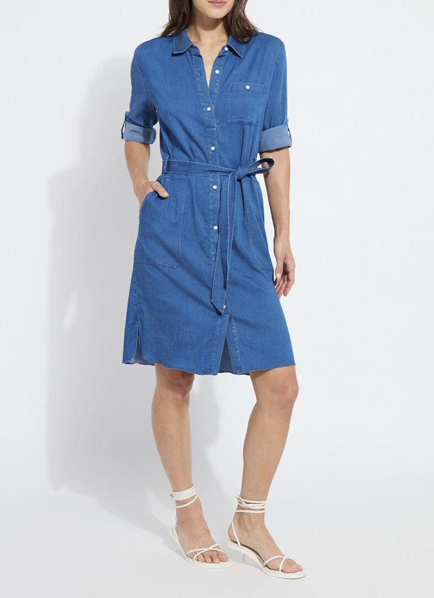 Delphine Denim Dress