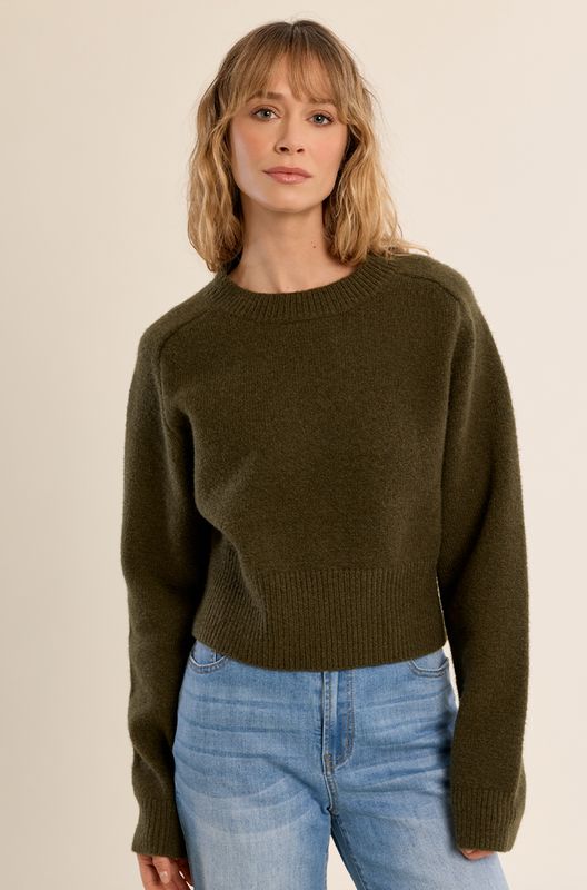 Olive Crew Sweater