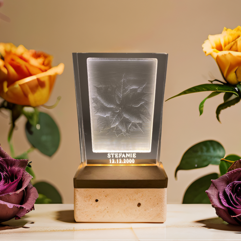 Acrylglas Bild Geburtsblume Dezember Acrylglas Bild Geburtsblume Dezember "Weihnachtsstern"