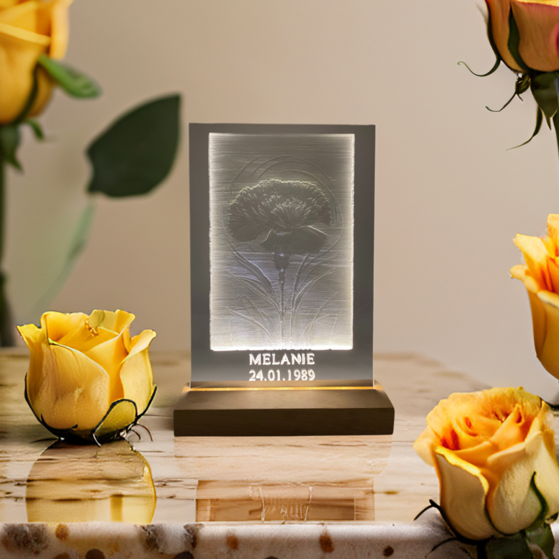 Acrylglas Bild Geburtsblume Januar Acrylglas Bild Geburtsblume Januar "Nelke"