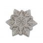 FROZEN SNOWFLAKE PAN