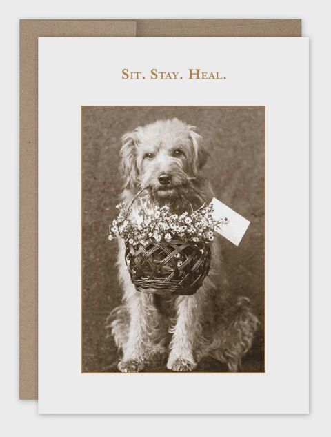 SIT. STAY. HEAL GW CARD
