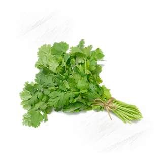 Fresh Vegetables |Coriander