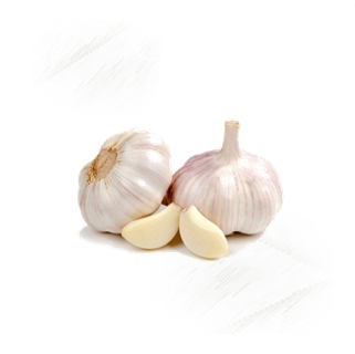 Fresh Vegetables |Garlic Whole