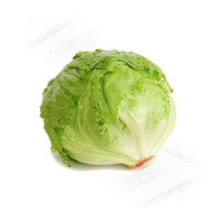 Fresh Vegetables |Iceberg Lettuce