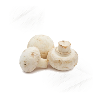 Fresh Vegetables |Mushrooms