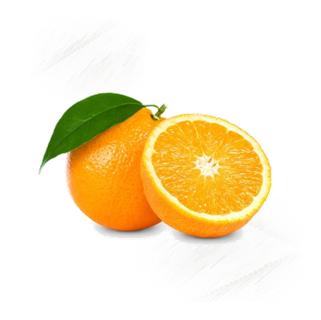 Fresh Fruit |Oranges