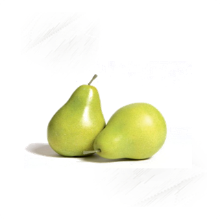 Fresh Fruit |Pears