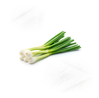 Fresh Vegetables |Onions Spring