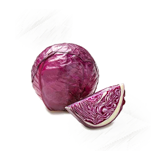 Fresh Vegetables |Cabbage Red