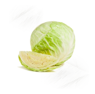 Fresh Vegetables |Cabbage White