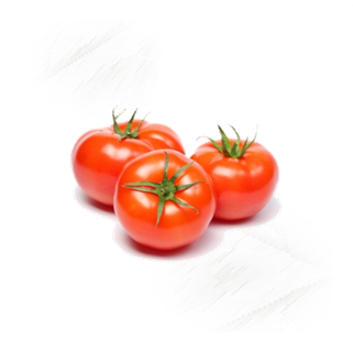 Fresh Vegetables |Tomatoes