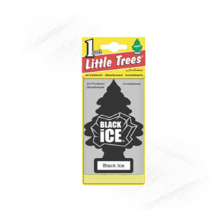 Magic Trees |Little Trees Air Scents