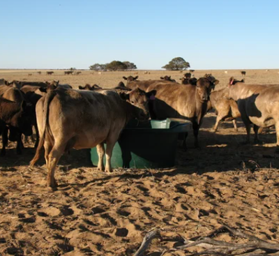 Troughs