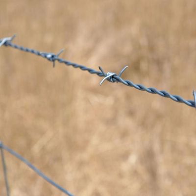 Wire