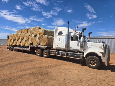 Wheaten Hay 5ft round bale