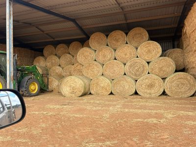 Oaten Hay 5ft Round Bale