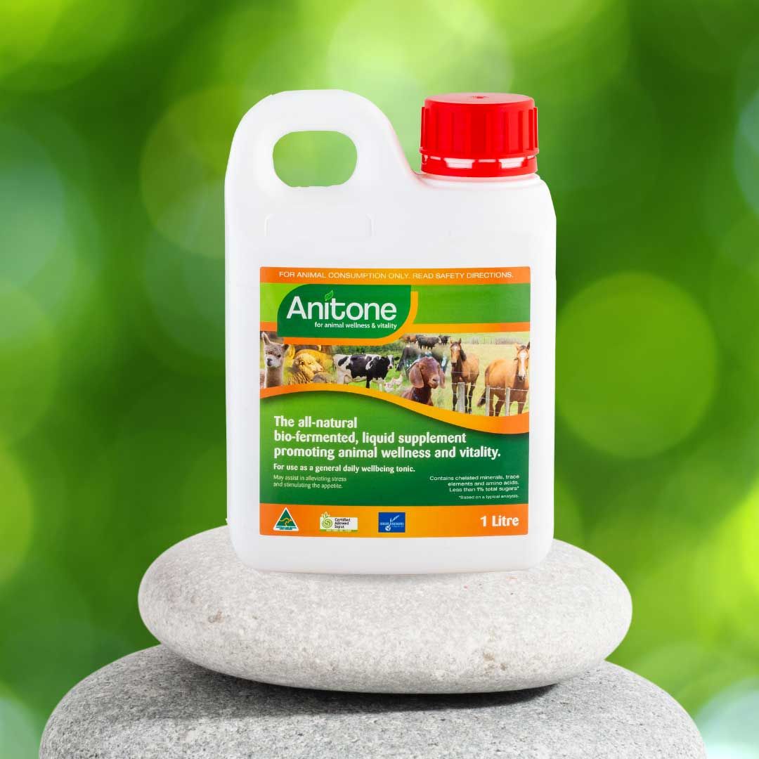 Anitone