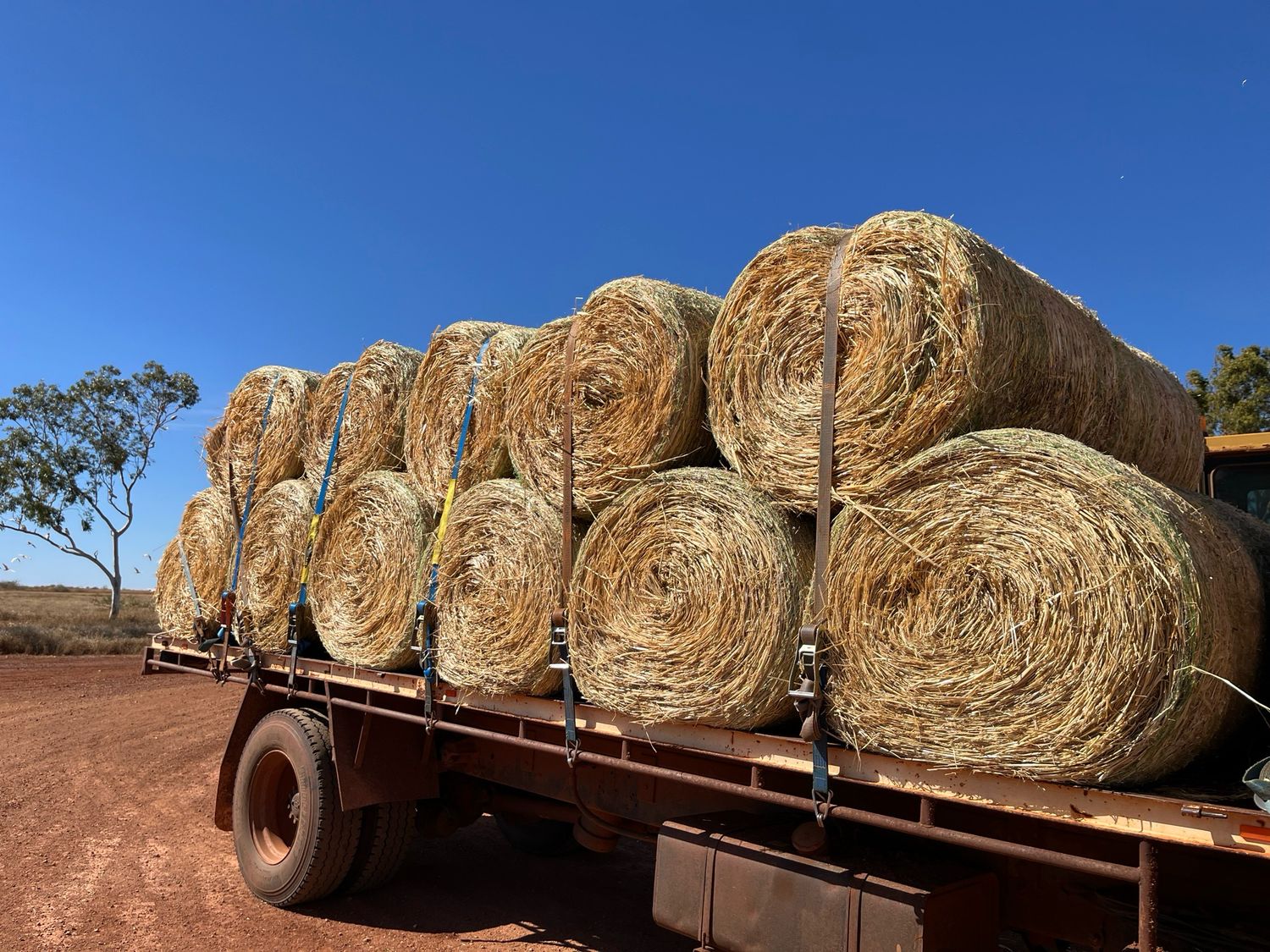 Wheaten Hay 3ft Bale