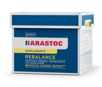 Barrastoc Horse Block