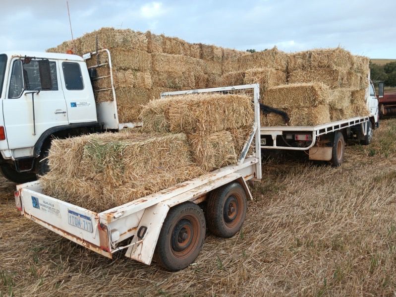 Oaten Bale ( Sprinkle Of Wheat)