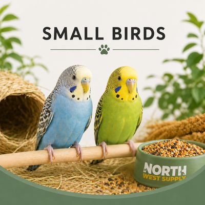 Birds