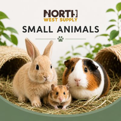 Small Animals