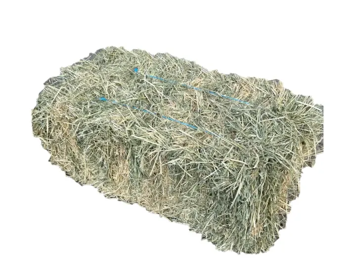 SMALL TRAVEL BALE Rhodes Grass