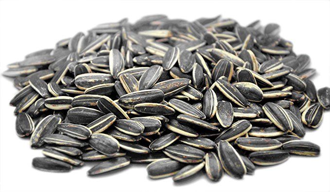 SUNFLOWER SEED BLACK 20kg