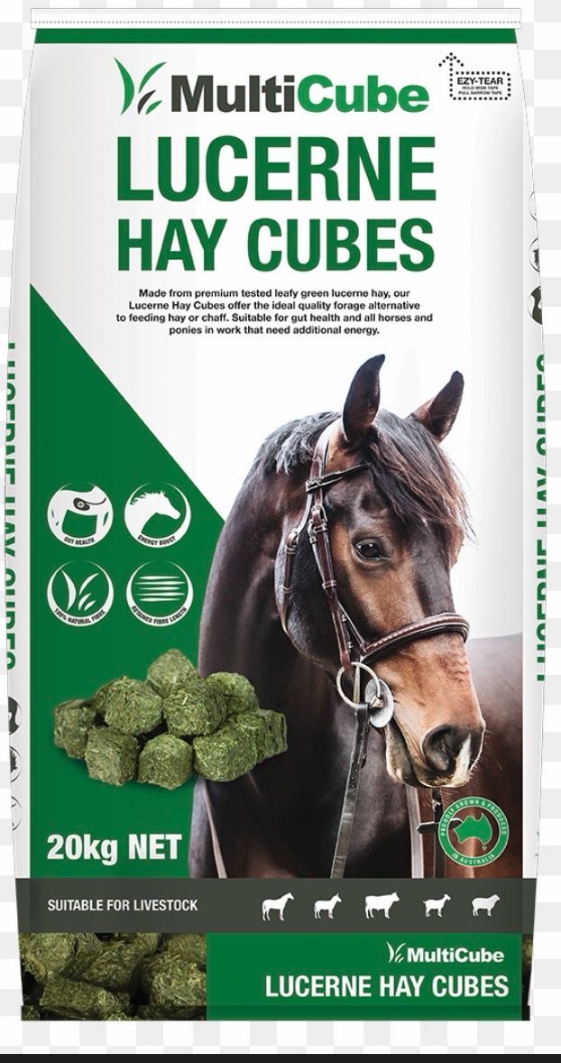 Lucerne Hay Cubes