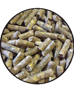 T &amp; R RABBIT &amp; GUINEA PIG PELLETS 20KG