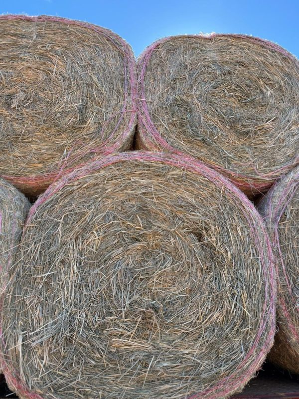 Round Rhodes Hay Bale