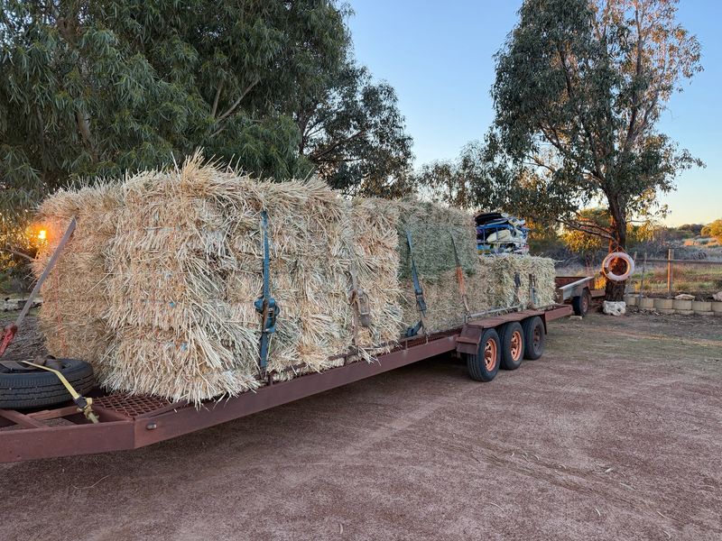 Oaten Hay Small Travel Bale