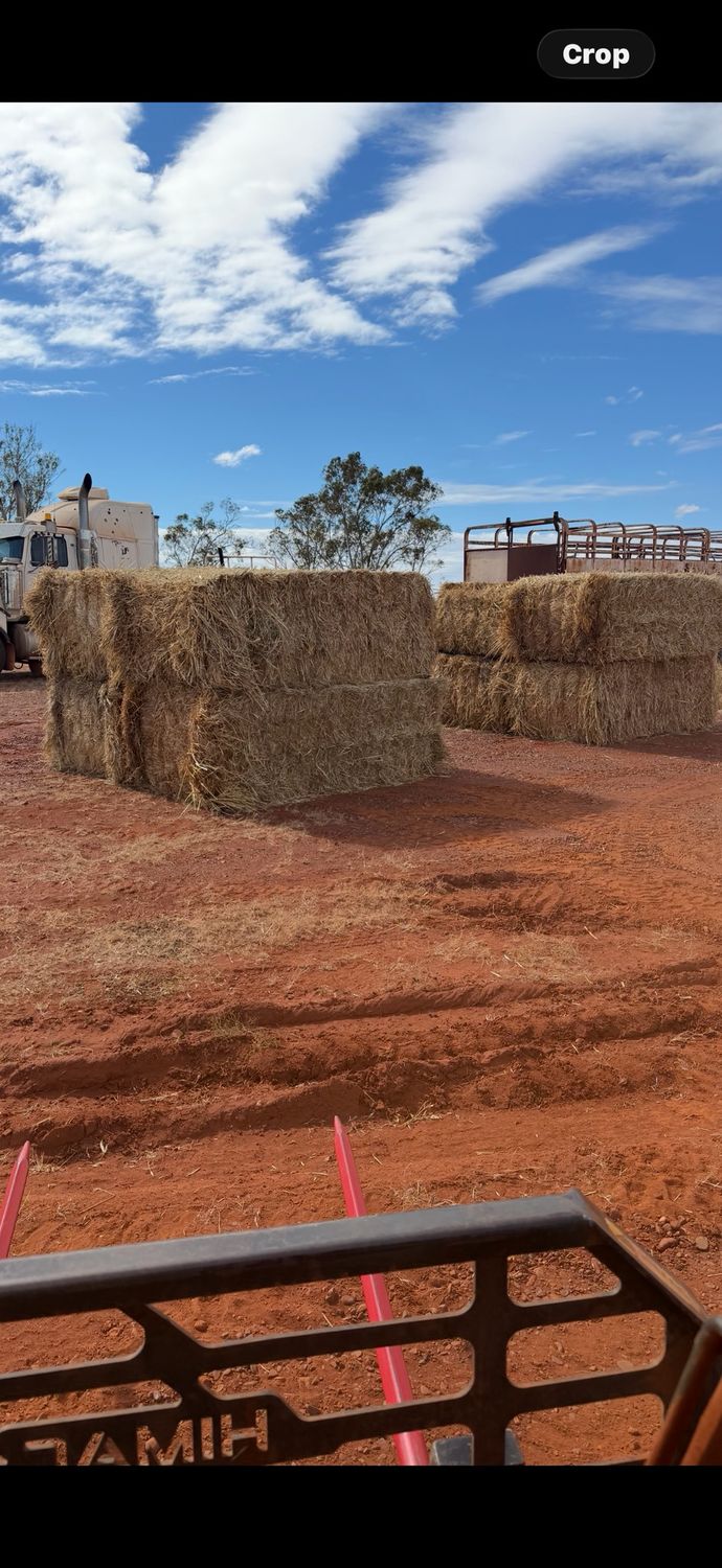 Oaten Big Squares 600kg