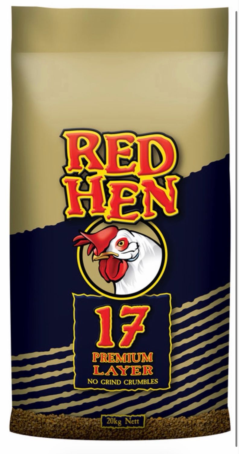 Red Hen 17