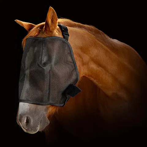 Fly Mask Black Mesh - Cob