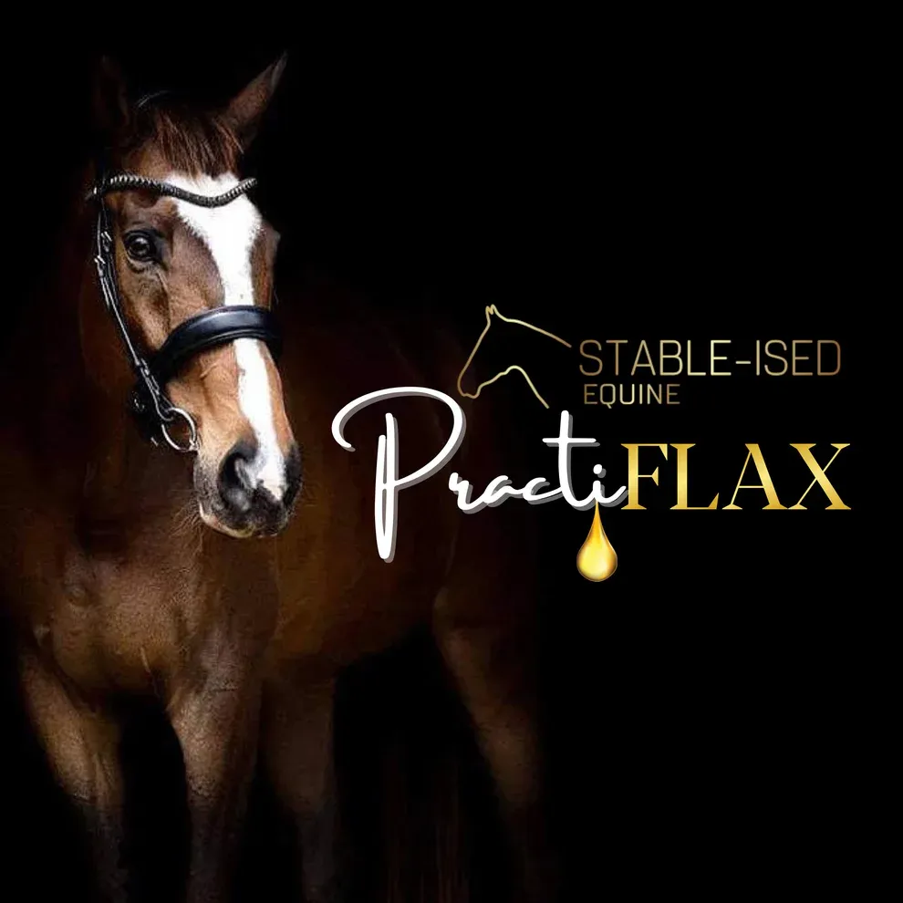 STABLE-ISED Equine PractiFLAX - 20L NEWMAN