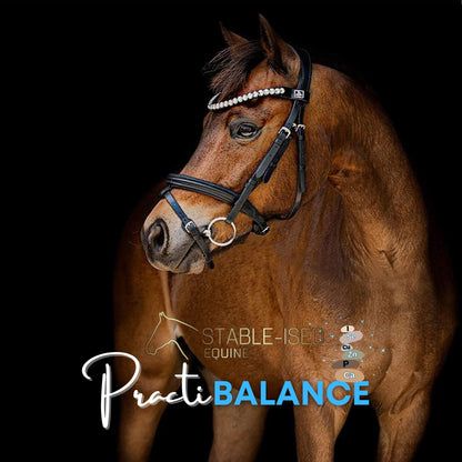STABLE-ISED Equine PractiBALANCE 20kg NEWMAN