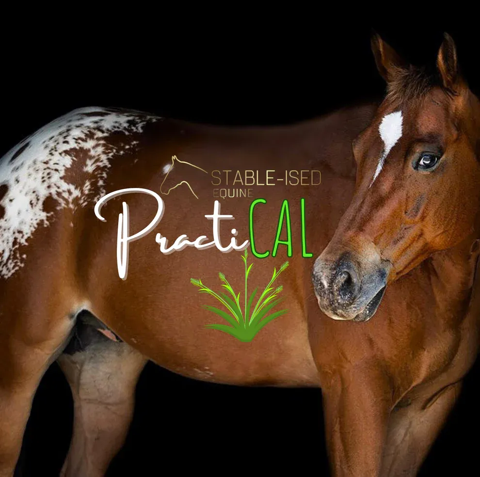 STABLE-ISED Equine PractiCAL 20kg NEWMAN
