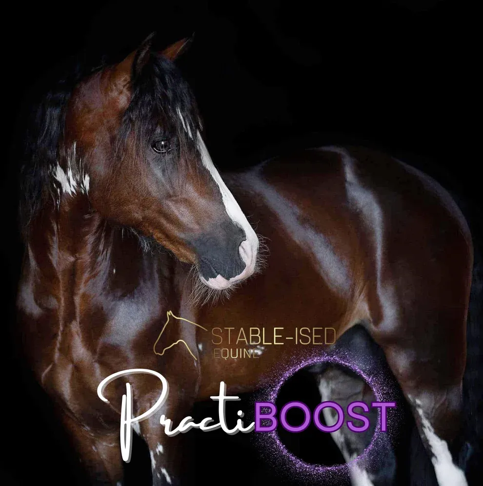 STABLE-ISED Equine PractiBOOST - 5kg NEWMAN